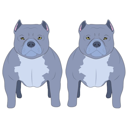 Signmission American Bully Dog Decal, Dog Lover Decor Vinyl Sticker D-24-American Bully